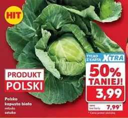 Kaufland Kapusta biała młoda polska oferta
