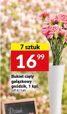 Twój Market Bukiet cięty gałązkowy goździk oferta