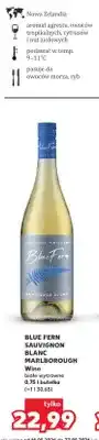 Kaufland Wino BLUE FERN SAUVIGNON BLANC MARLBOROUGH białe wytrawne oferta