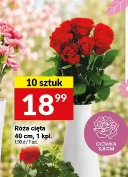 Twój Market Róża cięta 40cm oferta