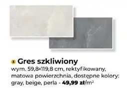 Mrówka Gres szkliwiony rektyfikowany matowa powierzchnia 59,8x119,8cm oferta