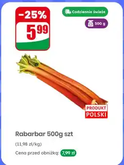 Dino Rabarbar polski oferta