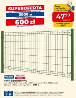 Mrówka Panel ogrodzeniowy Polbram wys. 1,52m drut 4mm oczko 55x200mm ocynk + RAL 6005 połysk oferta