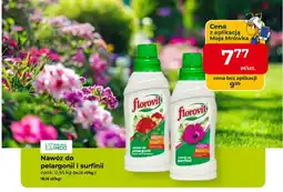Mrówka Nawóz do surfinii Florovit oferta