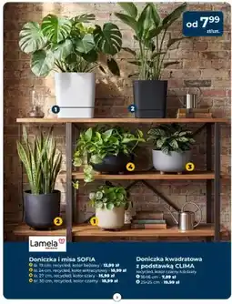 Mrówka Doniczka i misa SOFIA śr. 19cm recycled kolor beżowy Lamela oferta