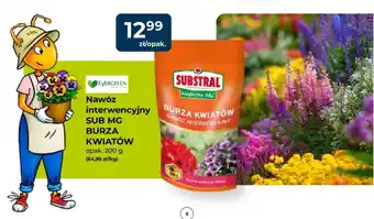 Nawóz interwencyjny SUB MG Burza Kwiatów Substral