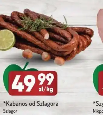 Avita Kabanos od Szlagora oferta