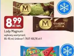 Avita Lody Magnum oferta