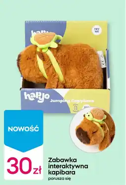 Pepco Zabawka interaktywna kapibara oferta