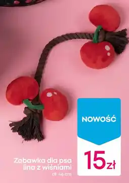Pepco Zabawka dla psa lina z wiśniami oferta