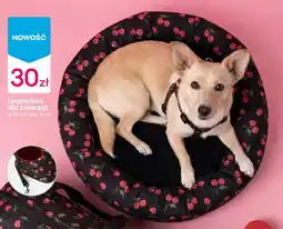 Pepco Legowisko dla zwierząt oferta