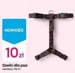 Pepco Szelki dla psa oferta
