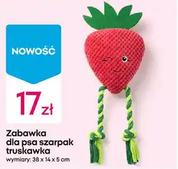 Pepco Zabawka dla psa szarpak truskawka oferta