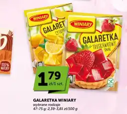 Groszek Galaretka Winiary oferta