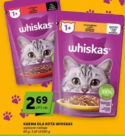 Groszek Karma dla kota Whiskas oferta
