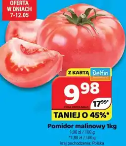 Delfin Pomidor malinowy oferta