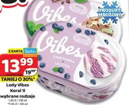 Delfin Lody Vibes Koral oferta