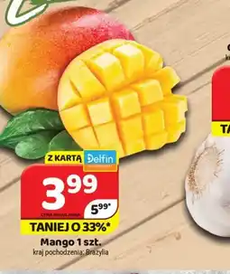 Delfin Mango oferta