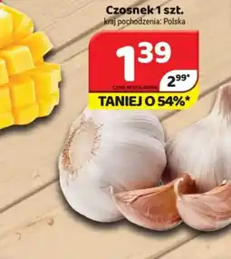 Delfin Czosnek oferta