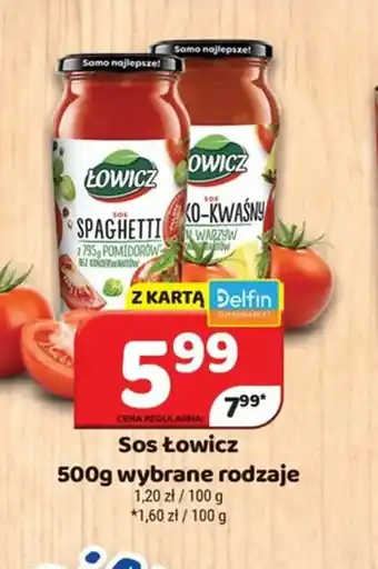 Delfin Sos Łowicz oferta