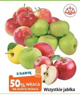 E.Leclerc Wszystkie jabłka oferta