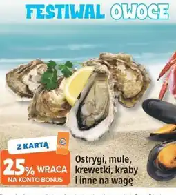 E.Leclerc Ostrygi, mule, krewetki, kraby i inne na wagę oferta