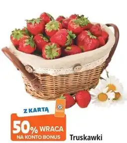 E.Leclerc Truskawki oferta
