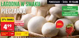 Biedronka Pieczarka, opak oferta