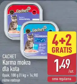 ALDI CACHET Karma mokra dla kota oferta