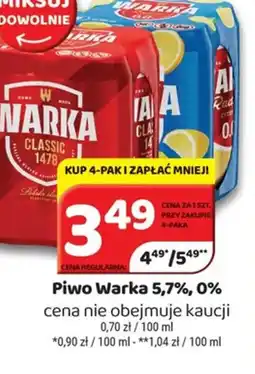 Delfin Piwo Warka oferta