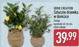 ALDI HOME CREATION Sztuczne drzewka w doniczce oferta