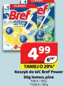 Delfin Koszyk do wc Bref Power oferta