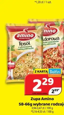 Delfin Zupa Amino oferta