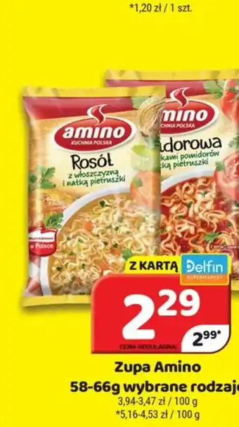 Delfin Zupa Amino oferta