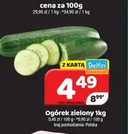Delfin Ogórek zielony oferta