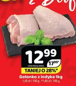 Delfin Golonko z indyka oferta