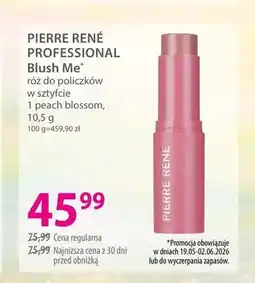 Hebe Róż do policzków w sztyfcie 1 peach blossom PIERRE RENÉ PROFESSIONAL Blush Me oferta