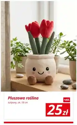 KiK Pluszowa roślina tulipany ok. 18cm oferta
