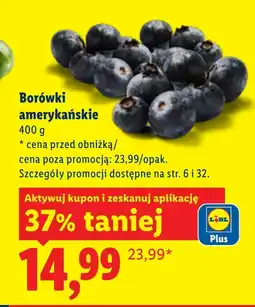 Lidl Borówki amerykańskie oferta