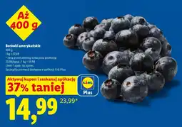 Lidl Borówki amerykańskie oferta