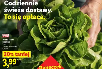Lidl Sałata masłowa Polski oferta