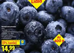Lidl Borówki amerykańskie oferta