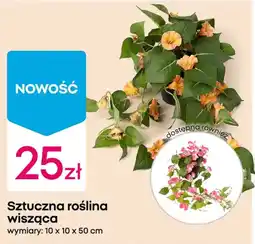 Pepco Sztuczna roślina wisząca oferta