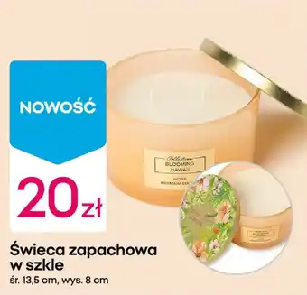 Pepco Świeca zapachowa w szkle oferta