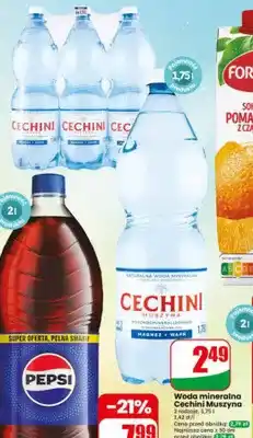 Dino Woda mineralna Cechini Muszyna oferta