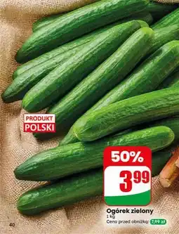 Dino Ogórek zielony polski oferta
