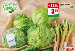 Dino Sałata lodowa oferta