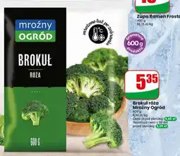 Dino Brokuł róża Mroźny Ogród oferta