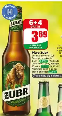 Dino Piwo Żubr oferta