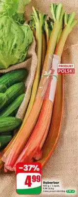 Dino Rabarbar polski oferta